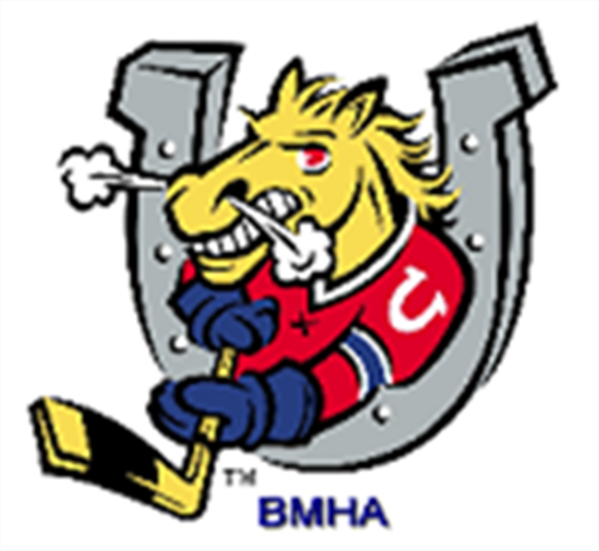 BMHA_Logo_2.PNG