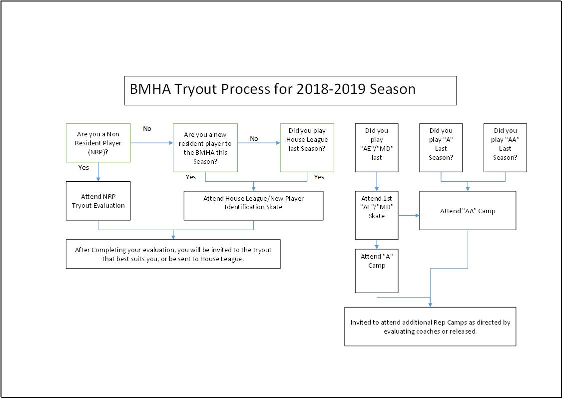 tryout_process_flow.JPG