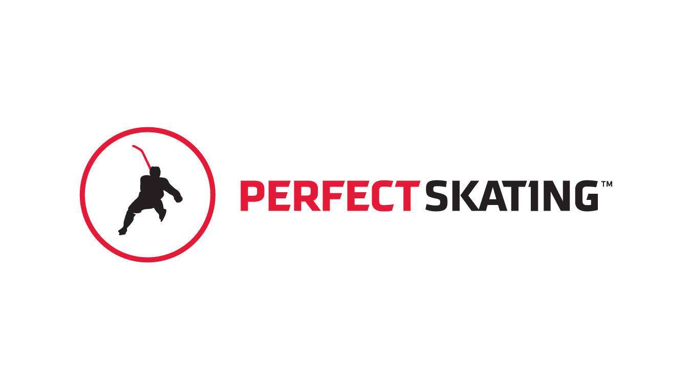 Perfect Skating